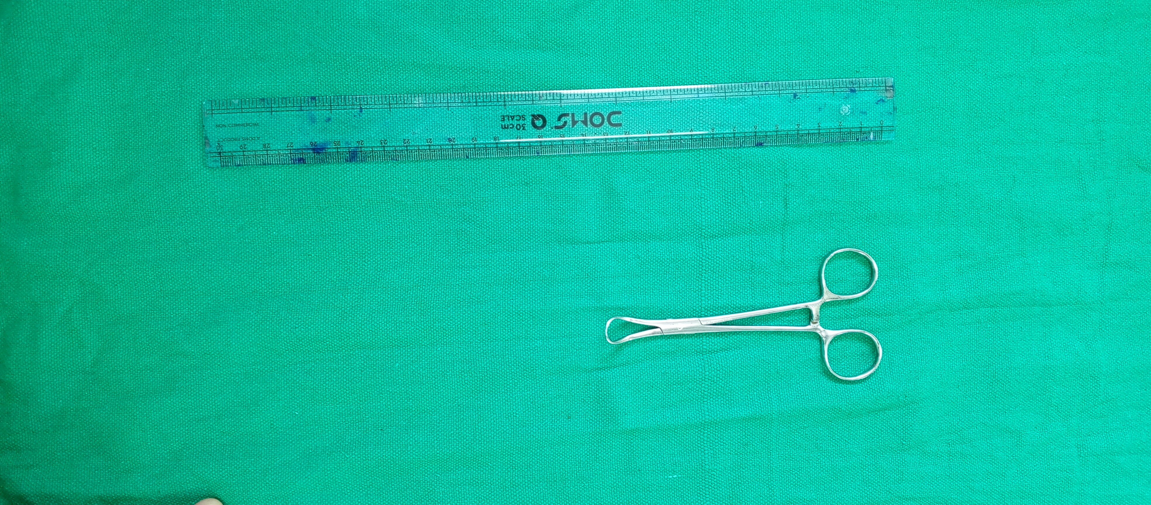 Towel Clip